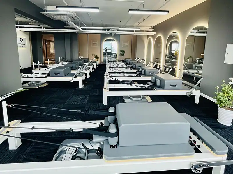 reformer case 1 reformer case 1